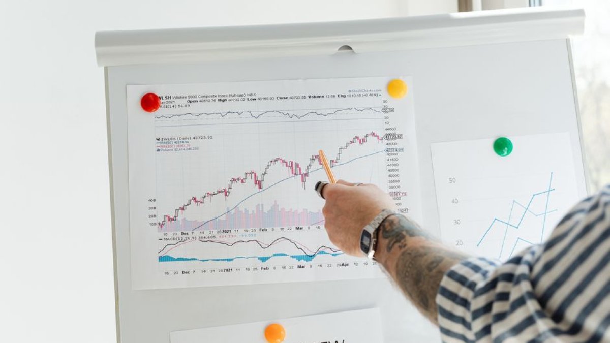 stock market chart beginner investor