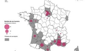 Le virus West Nile explose en France en 2026