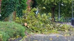 Tempête Austen : 59 000 foyers bretons sans électricité